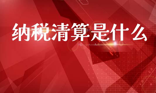 纳税清算是什么_https://cj002.lansai.wang_会计问答_第1张