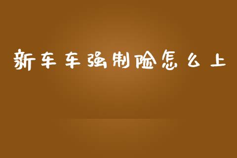 新车车强制险怎么上_https://cj002.lansai.wang_保险问答_第1张
