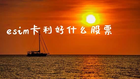 esim卡利好什么股票_https://cj002.lansai.wang_股市问答_第1张