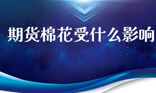 期货棉花受什么影响_https://cj002.lansai.wang_期货问答_第1张