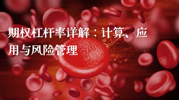 期权杠杆率详解：计算、应用与风险管理_https://cj002.lansai.wang_财经问答_第1张