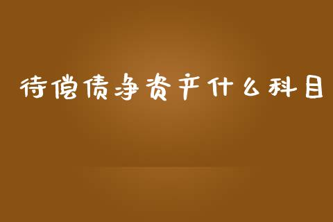 待偿债净资产什么科目_https://cj002.lansai.wang_会计问答_第1张