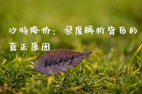 沙特降价：深度解析背后的真正原因_https://cj002.lansai.wang_财经问答_第1张