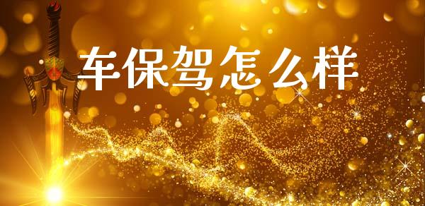 车保驾怎么样_https://cj002.lansai.wang_保险问答_第1张