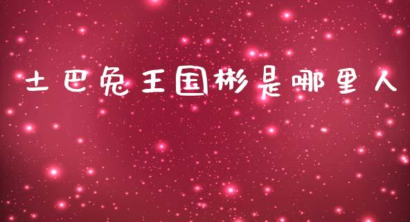 土巴兔王国彬是哪里人_https://cj002.lansai.wang_理财问答_第1张