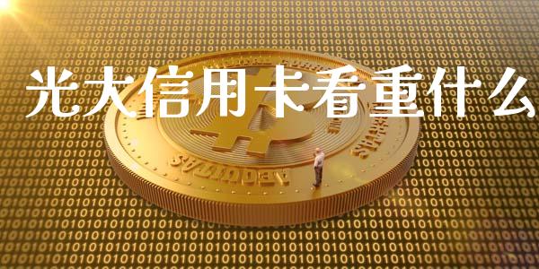 光大信用卡看重什么_https://cj002.lansai.wang_金融问答_第1张