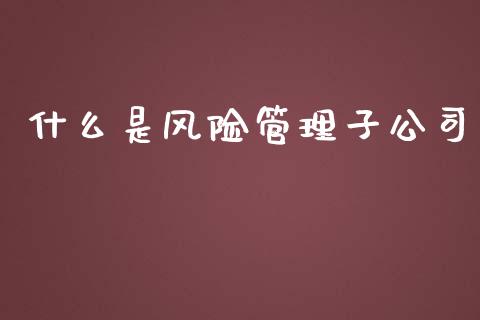 什么是风险管理子公司_财经问答_第1张_财经百问网 什么是风险管理子公司_https://cj002.lansai.wang_财经问答_第1张