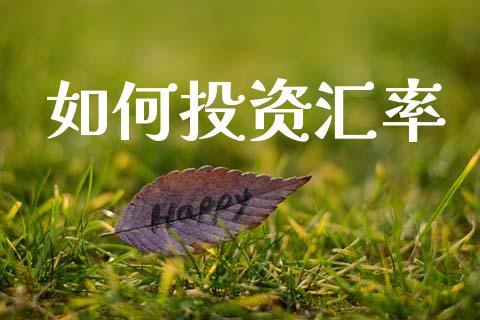 如何投资汇率_https://cj002.lansai.wang_财经问答_第1张