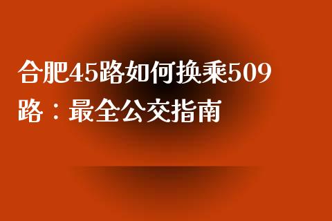 合肥45路如何换乘509路：最全公交指南_https://cj002.lansai.wang_股市问答_第1张