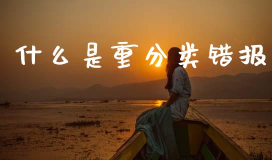 什么是重分类错报_https://cj002.lansai.wang_会计问答_第1张