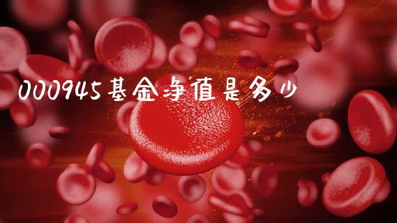 000945基金净值是多少_https://cj002.lansai.wang_股市问答_第1张