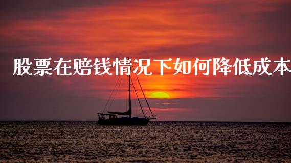 股票在赔钱情况下如何降低成本_https://cj002.lansai.wang_财经百问_第1张