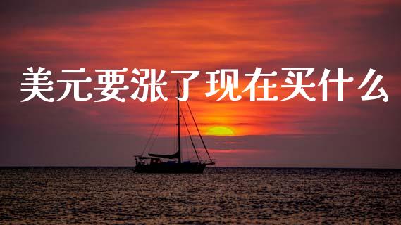 美元要涨了现在买什么_https://cj002.lansai.wang_财经问答_第1张