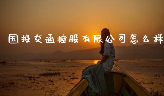 国投交通控股有限公司怎么样_https://cj002.lansai.wang_财经问答_第1张