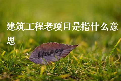 建筑工程老项目是指什么意思_https://cj002.lansai.wang_会计问答_第1张