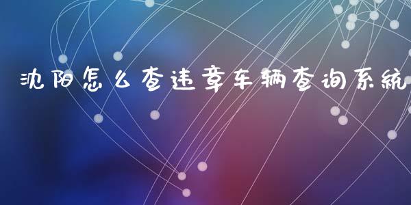 沈阳怎么查违章车辆查询系统_https://cj002.lansai.wang_保险问答_第1张
