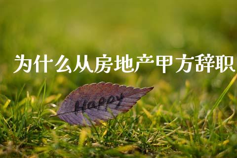 为什么从房地产甲方辞职_https://cj002.lansai.wang_股市问答_第1张