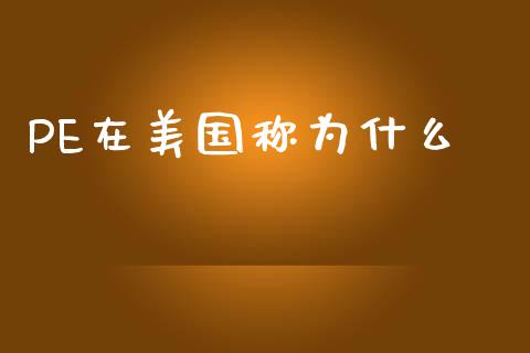 PE在美国称为什么_https://cj002.lansai.wang_股市问答_第1张