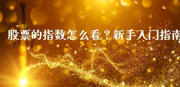 股票的指数怎么看？新手入门指南_https://cj002.lansai.wang_财经问答_第1张