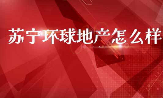 苏宁环球地产怎么样_https://cj002.lansai.wang_金融问答_第1张