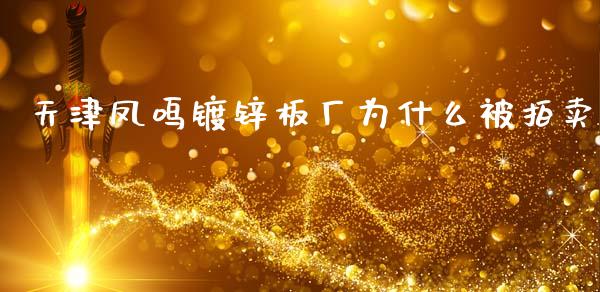 天津凤鸣镀锌板厂为什么被拍卖_https://cj002.lansai.wang_期货问答_第1张