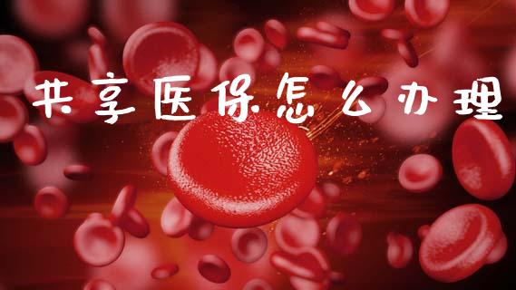 共享医保怎么办理_https://cj002.lansai.wang_保险问答_第1张