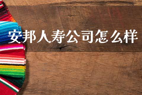 安邦人寿公司怎么样_https://cj002.lansai.wang_保险问答_第1张