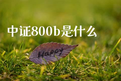 中证800b是什么_https://cj002.lansai.wang_会计问答_第1张