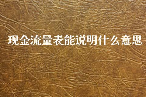 现金流量表能说明什么意思_https://cj002.lansai.wang_会计问答_第1张