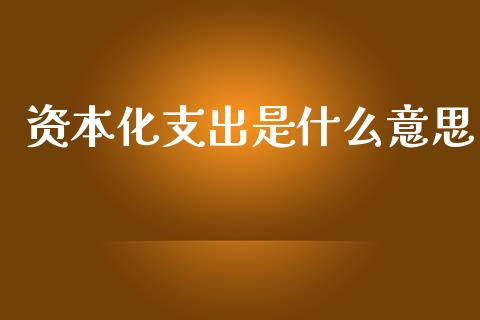 资本化支出是什么意思_https://cj002.lansai.wang_会计问答_第1张