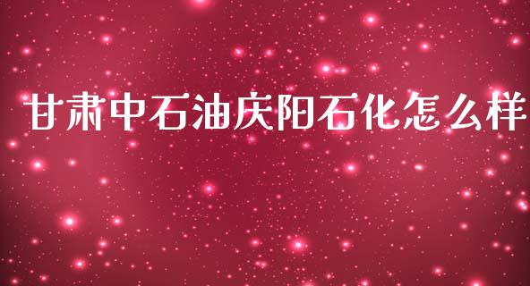 甘肃中石油庆阳石化怎么样_https://cj002.lansai.wang_会计问答_第1张