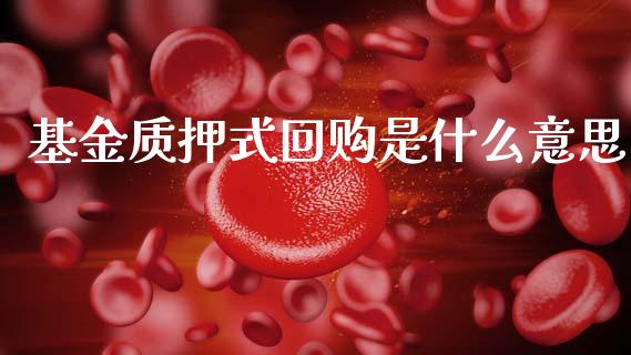 基金质押式回购是什么意思_https://cj002.lansai.wang_股市问答_第1张