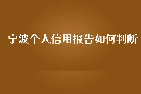 宁波个人信用报告如何判断_https://cj002.lansai.wang_金融问答_第1张