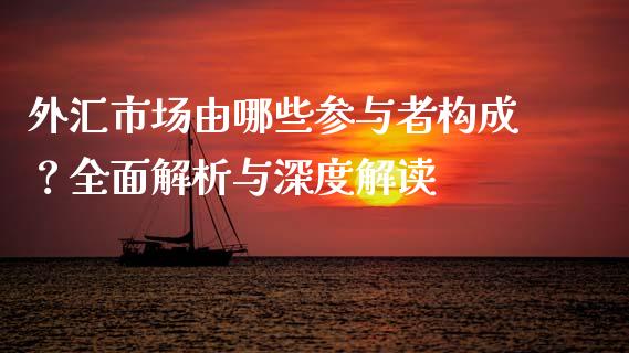 外汇市场由哪些参与者构成？全面解析与深度解读_https://cj002.lansai.wang_保险问答_第1张