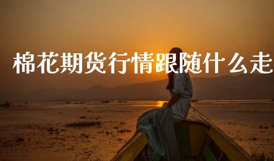 棉花期货行情跟随什么走_https://cj002.lansai.wang_会计问答_第1张