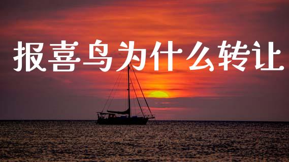 报喜鸟为什么转让_https://cj002.lansai.wang_股市问答_第1张