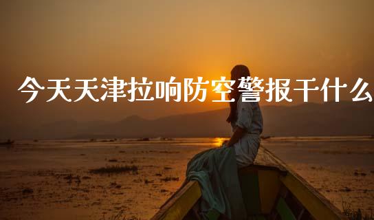 今天天津拉响防空警报干什么_https://cj002.lansai.wang_财经百问_第1张