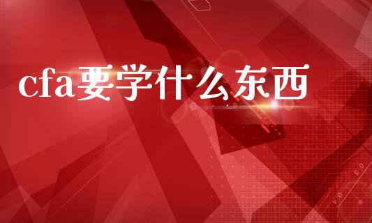 cfa要学什么东西_https://cj002.lansai.wang_会计问答_第1张