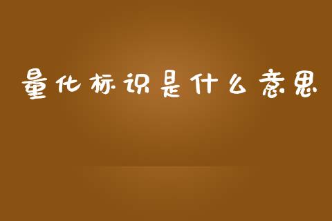 量化标识是什么意思_https://cj002.lansai.wang_期货问答_第1张