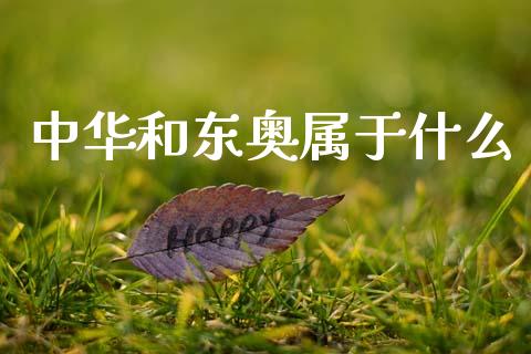 中华和东奥属于什么_https://cj002.lansai.wang_会计问答_第1张