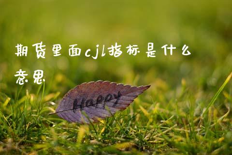 期货里面cjl指标是什么意思_理财问答_第1张_财经百问网 期货里面cjl指标是什么意思_https://cj002.lansai.wang_理财问答_第1张