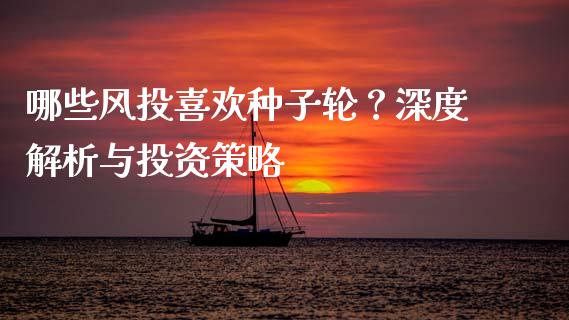 哪些风投喜欢种子轮？深度解析与投资策略_https://cj002.lansai.wang_理财问答_第1张
