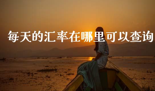 每天的汇率在哪里可以查询_https://cj002.lansai.wang_财经问答_第1张