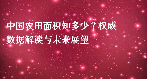 中国农田面积知多少？权威数据解读与未来展望_https://cj002.lansai.wang_财经问答_第1张