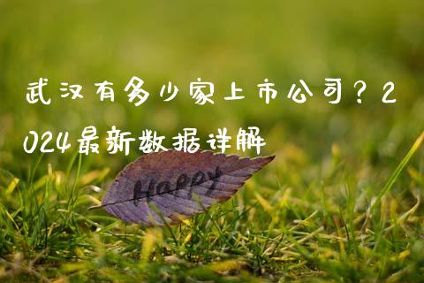 武汉有多少家上市公司?2024最新数据详解_理财问答_第1张_财经百问网 武汉有多少家上市公司?2024最新数据详解_https://cj002.lansai.wang_理财问答_第1张