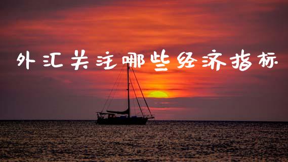 外汇关注哪些经济指标_https://cj002.lansai.wang_财经问答_第1张