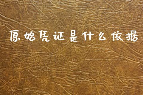 原始凭证是什么依据_https://cj002.lansai.wang_会计问答_第1张