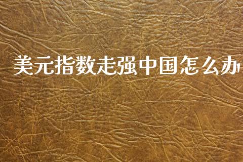 美元指数走强中国怎么办_https://cj002.lansai.wang_财经问答_第1张