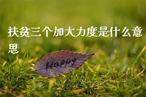 扶贫三个加大力度是什么意思_https://cj002.lansai.wang_期货问答_第1张