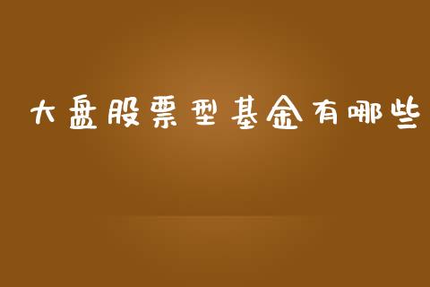 大盘股票型基金有哪些_https://cj002.lansai.wang_股市问答_第1张